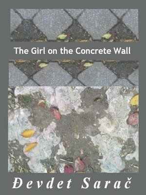 cover image of The Girl on the Concrete Wall